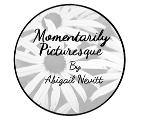 Visit the Momentarily Picturesque by Abigail Nevitt website