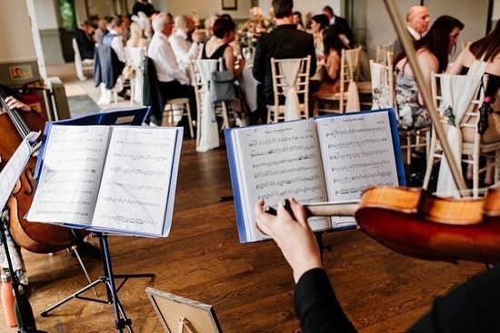 Gallery image 4: Harmony String Quartet