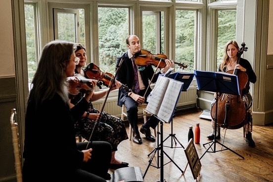 Gallery image 8: Harmony String Quartet