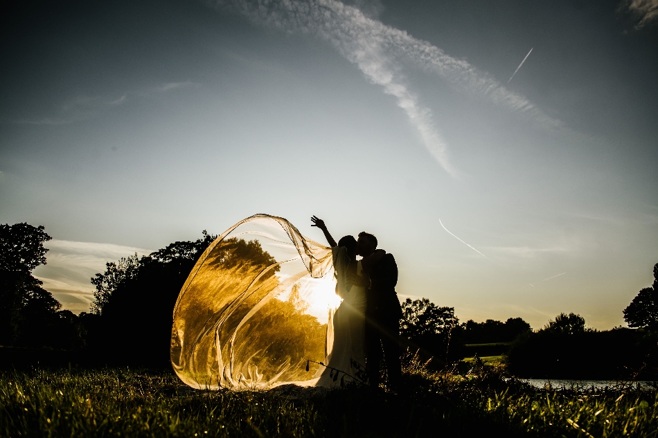 Image 4 from The Delamere Manor Estate