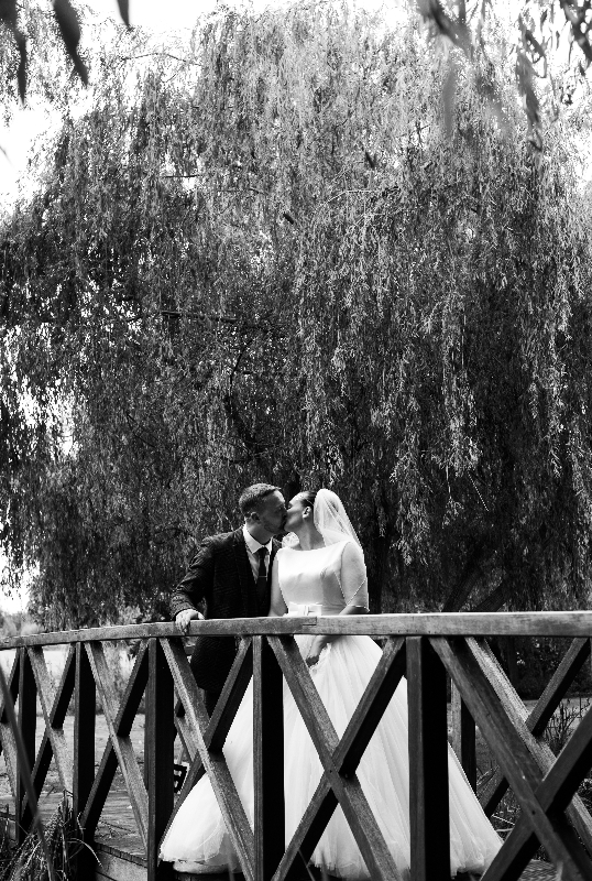 Image 5 from Momentarily Picturesque by Abigail Nevitt