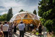 Thumbnail image 4 from Event in a Tent Ltd