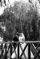 Thumbnail image 5 from Momentarily Picturesque by Abigail Nevitt