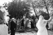 Thumbnail image 6 from Momentarily Picturesque by Abigail Nevitt