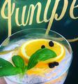 Thumbnail image 5 from Juniper 1933