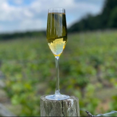 Carden Park Estate’s production of English sparkling wine is thriving