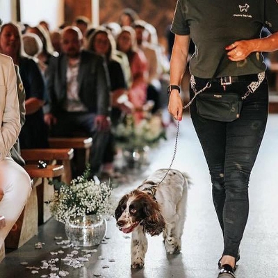 Wedding News: Your fur baby is in safe hands with Cheshire Dog Lady