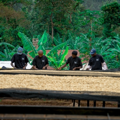 Wedding News: Macdonald Hotels & Resorts are brewing up a storm