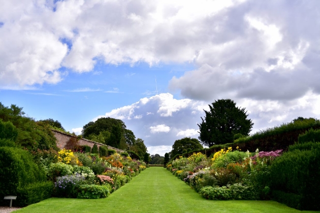 In an English country garden: Image 1