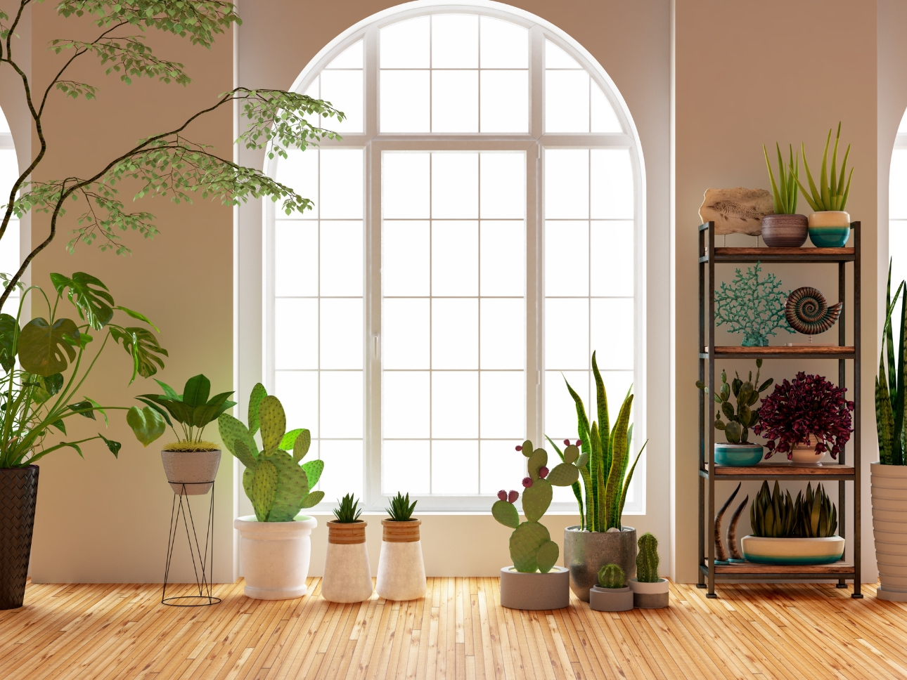 plants in pots in window set up