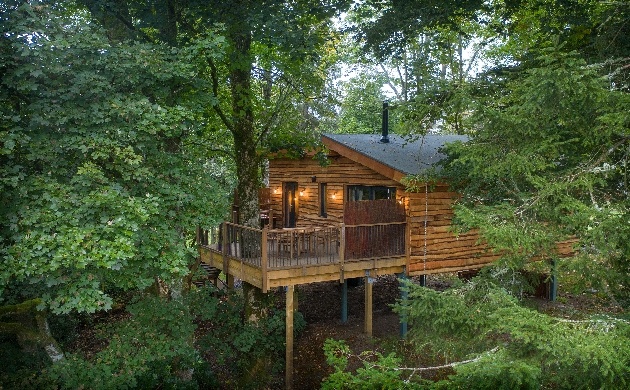 treehouse in trees
