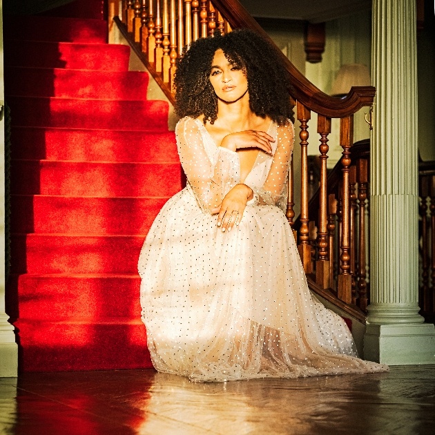 bride sits on red carpeted stairs as sun shines through the window