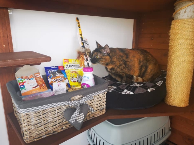 Pet hotel guest checking out welcome basket