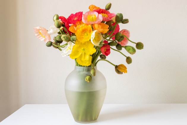 colourful poppies in a vase