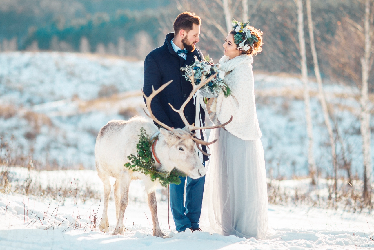 wedding couple in snow with a reindeer