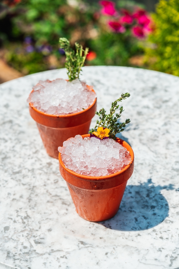 Summer cocktails in plant pots at The Botanist