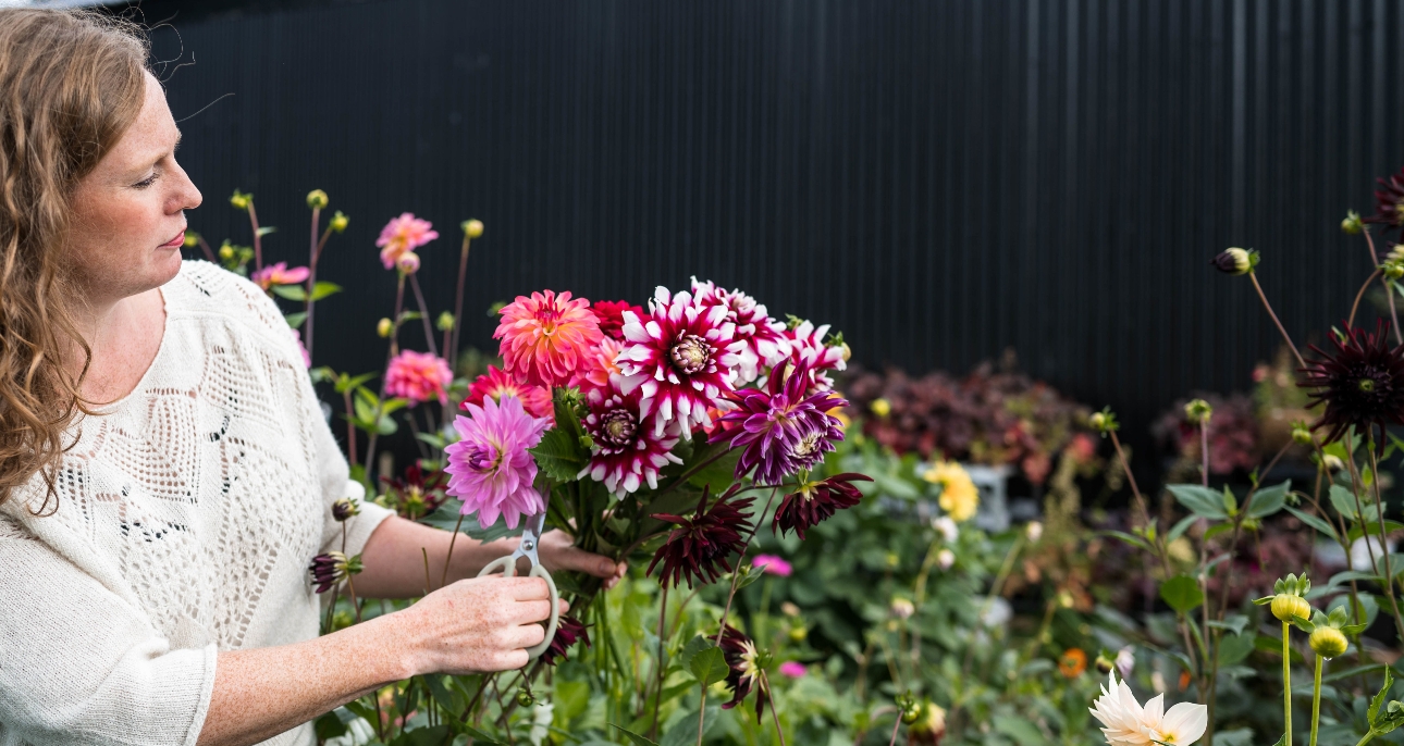 florist picking local flowers at a flower farm