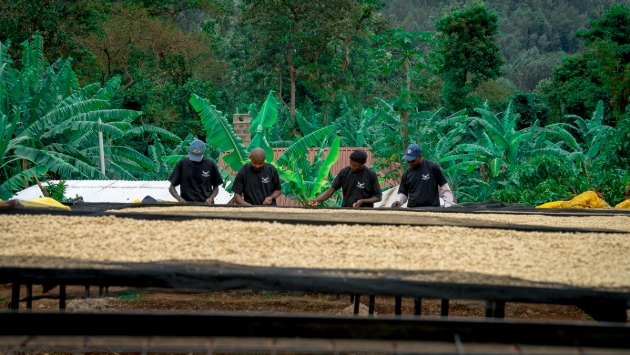 The Muchomba Project, a life-changing initiative in the Kenyan farming community