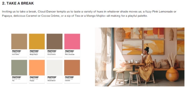 Pantone's Colour of the Year 2026 take a break morocco colour palette