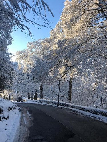 Image 11 from Shrigley Hall Hotel & Spa