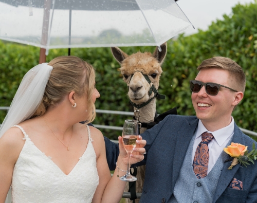 The Fields Barn Wedding Venue