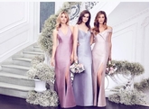 Thumbnail image 5 from Bellissima Brides