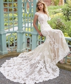 Thumbnail image 2 from Bellissima Brides