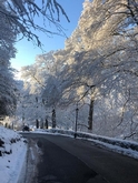 Thumbnail image 11 from Shrigley Hall Hotel & Spa